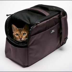 Sleepypod dog air carrier.